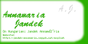 annamaria jandek business card